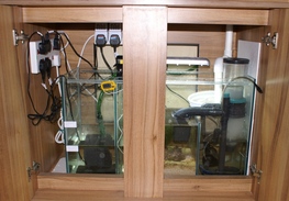 My complete sump